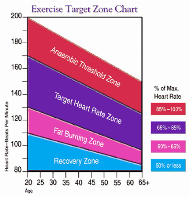 Fat Loss Heart Rate Chart